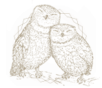 Консультирование пар