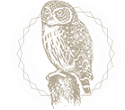 Психотерапия